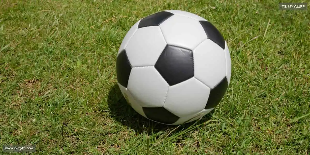 <strong>WG电子</strong>🏌️挥杆绿茵，享受运动的优雅与专注！